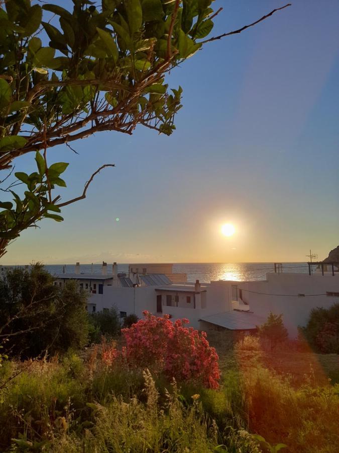White House Apollon Naxos